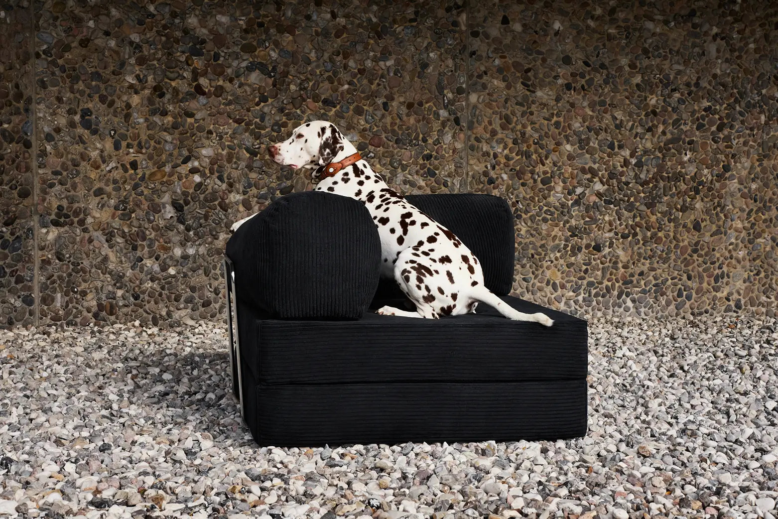 Waterproof Sofa Cover for Pets: Read Before Buying