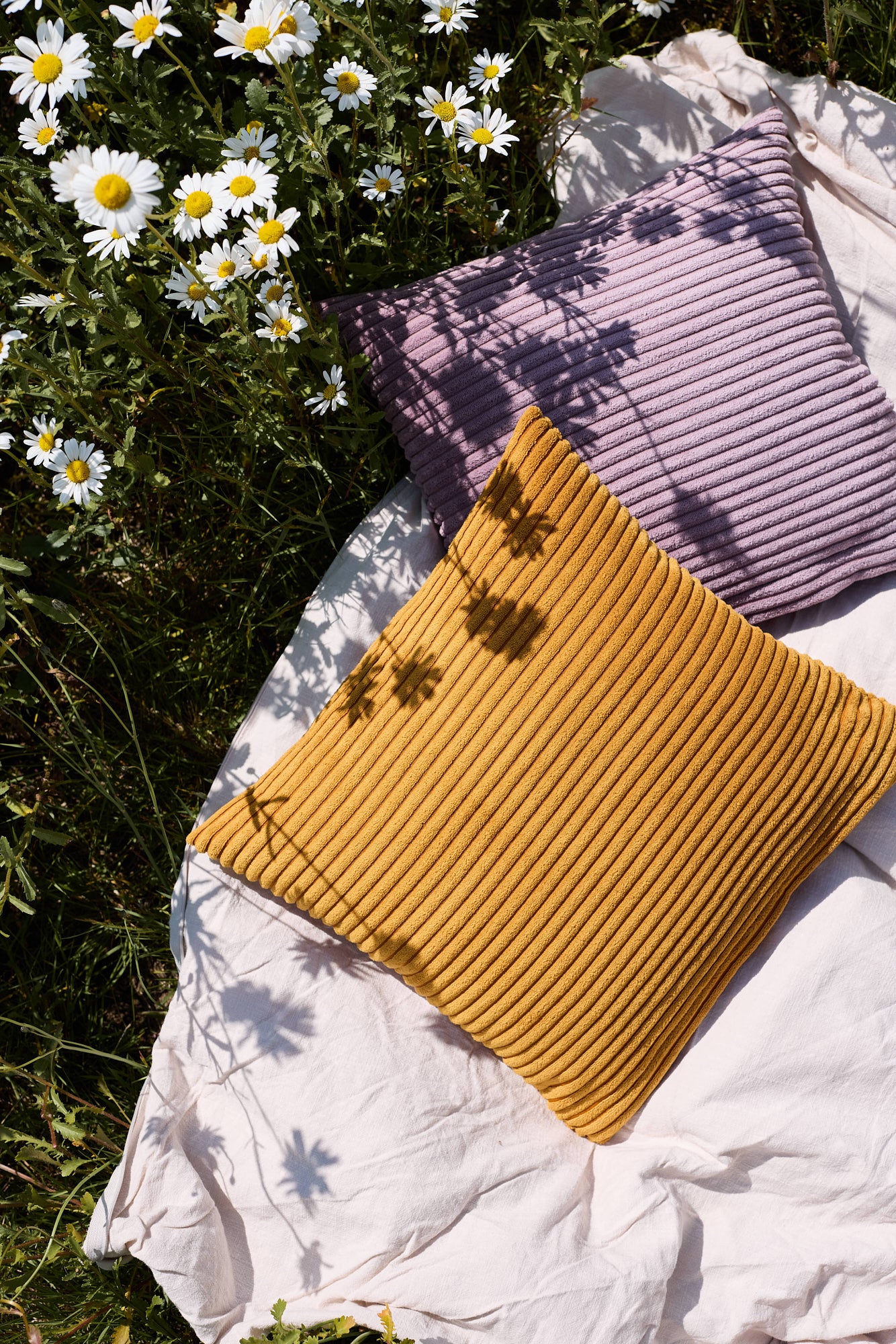 Image description not available